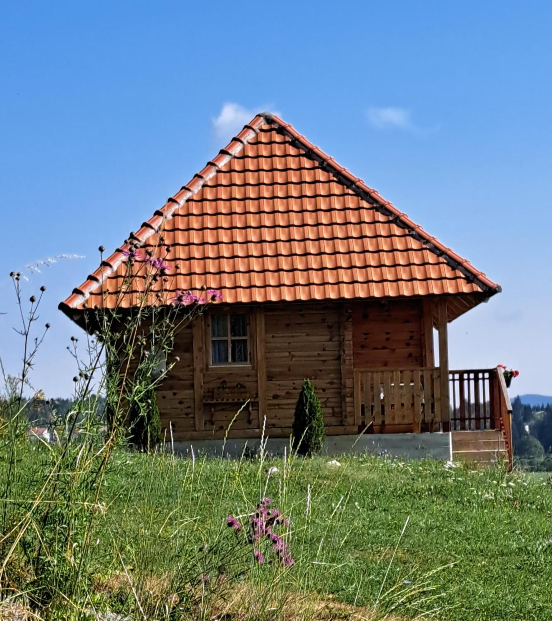 Etno Domacinstvo Uvacki Konaci Villa Nova Varos Exterior photo
